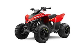 Manual CFMOTO 110